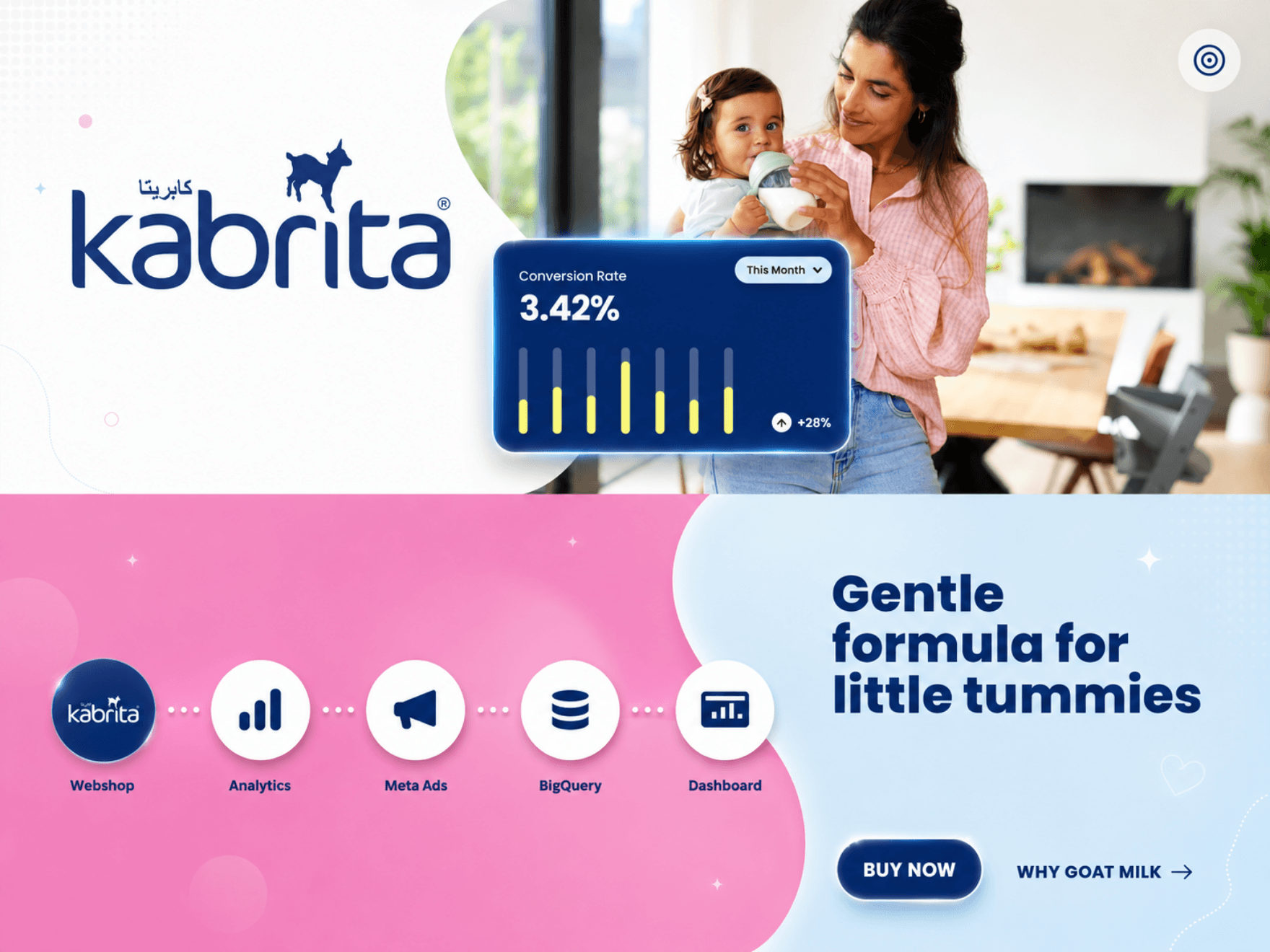 Data analytics dashboard built in Dubai for Kabrita
